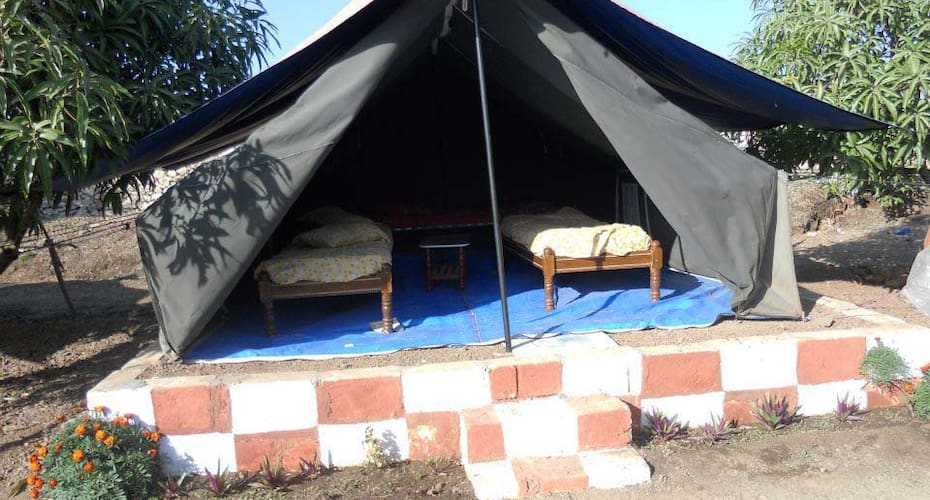 Gigabhai Nandaniya Homestay, Somnath 5